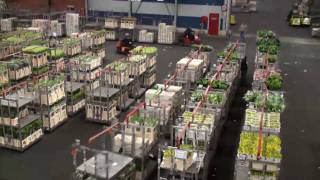 Flora Holland Flower Auction [upl. by Iramo]