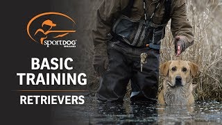 Basic Training  Retrievers [upl. by Ehrlich]