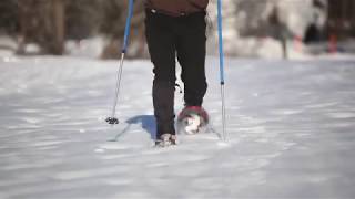 HowtoSnowshoe Learn the basics from the experts  LLBean [upl. by Nylissej]