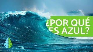 Por qué el MAR es AZUL 🌅 CURIOSIDADES sobre el MAR [upl. by Ahsele397]