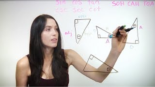 Basic Trigonometry Sin Cos Tan NancyPi [upl. by Ecnerewal604]