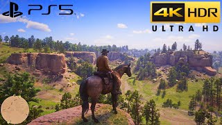 How to Play Red Dead Redemption 2 PC Online WIth Friends [upl. by Eux940]