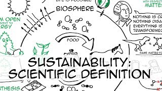 Sustainability simple definition whiteboard animation [upl. by Arik684]