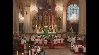 Parisians Enjoy Simple Majesty of Tridentine Latin Mass [upl. by Nali]