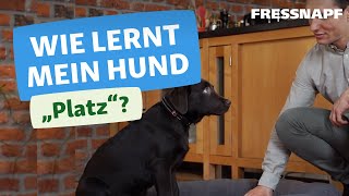 Hundekommando Platz  So lernt euer Hund quotPlatzquot [upl. by Ariamoy]