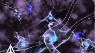 How Neurotransmission amp brain signals work  3D animation [upl. by Gnurt]