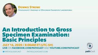 An Introduction to Gross Specimen Examination Basic Principles grosspathCast [upl. by Annavaig74]