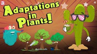 Adaptations In Plants  What Is ADAPTATION  The Dr Binocs Show  Peekaboo Kidz [upl. by Ches]