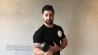 Serratus Anterior Uppercuts [upl. by Creigh605]