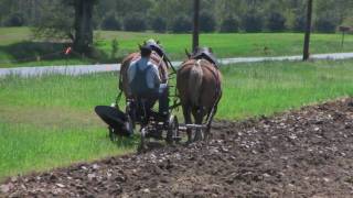 FARMER PLOWING WITH HORSES [upl. by Marielle]