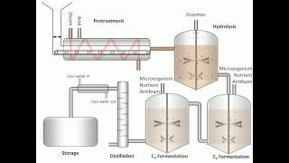 Process of Fermentation [upl. by Jeramey]