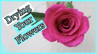 How to Dry Flowers using Silica Gel before Epoxy Resin part 1 [upl. by Dove]