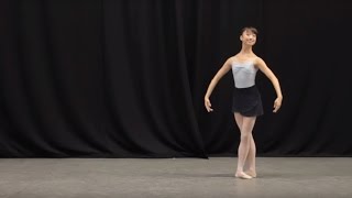 Insight Ballet Glossary  Petit allegro [upl. by Ho307]