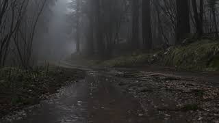 Relaxing Sound of Rain Forest Puddles 2 Hours  Light Rain and Rain Drops Falling From Trees [upl. by Lori829]