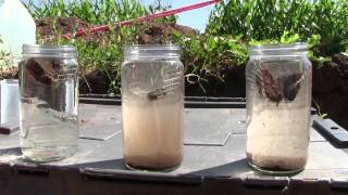 Soil Aggregation and Water Infiltration [upl. by Berard]