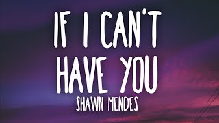 Shawn Mendes  If I Cant Have You Lyrics [upl. by Anomas]