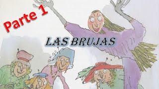 Resumen Libro quotLas Brujasquot de Roald Dahl Parte 1 [upl. by Liana]