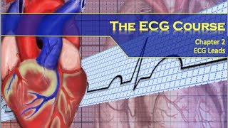 The ECG Course  Leads [upl. by Dilly]