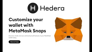 Build with Hedera Wallet Snap [upl. by Ahsataj]