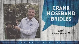 Equine Dentistry  Crank Noseband Bridles Explained with Equine Dentist Mark Burnell  Horseland [upl. by Ainehta]