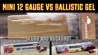 Mini 12 Gauge VS Ballistics Gel  EXOTIC SHOTGUN AMMO [upl. by Nelav244]