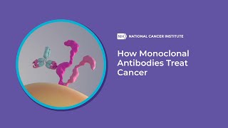 How Monoclonal Antibodies Treat Cancer [upl. by Anuala]