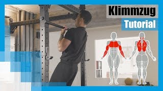 Tutorial Klimmzüge für Anfänger  richtige Ausführung amp Technik 💪 [upl. by Aramahs]