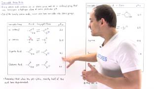 Ionizable Amino Acids [upl. by Aicirpac]