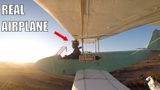 HomeMade Electric Airplane [upl. by Abernathy537]