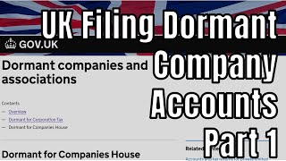 Filing Dormant Limited Company Accounts Part 1 Accounts to Companies House [upl. by Eyaj]