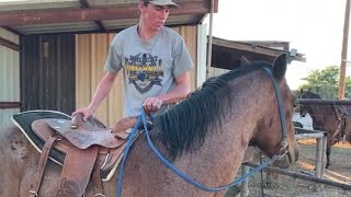 Horse Training  First Ride First Mount [upl. by Noxid455]