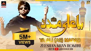 Qasida  Ya Ali Madad  Zeeshan Khan Rokhri  2017 [upl. by Eimam]