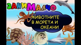 Кой живее под водата Да видим животните от морета и океани [upl. by Yelich]