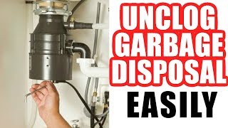 How to Unclog a Garbage Disposal Easy Step by Step [upl. by Yvel935]