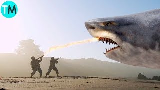 LOS 10 TIBURONES MÁS GRANDES Del Mundo y De La Historia [upl. by Adnaram]