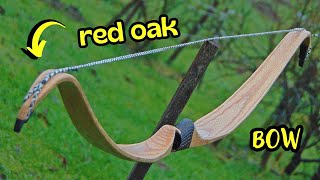 Making a Red Oak Recurve Bow [upl. by Koeppel]