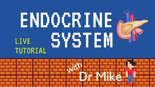 Live Tutorial Endocrine [upl. by Amitaf928]