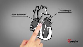 Anatomie du coeur  version française [upl. by Chavez620]