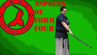 Aspects of Form 4  Haidong Gumdo Forms [upl. by Sleinad]