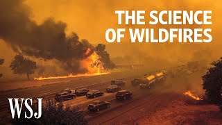 The Science of Wildfires Why Theyre Getting Worse  WSJ [upl. by Aubreir376]