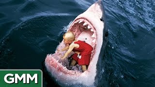 6 Strangest Things Swallowed by a Shark [upl. by Llehcim]