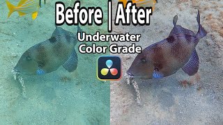 Davinci Resolve 17 Underwater Color Grading Tutorial OC from GoPro Hero 9 [upl. by Yendroc702]