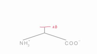 Memorize the 20 amino acids in 20 minutes Part 1 [upl. by Faux]