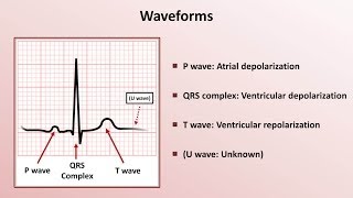 Learning to Read an ECG 8 simple steps [upl. by Fulmis]