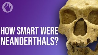 How Smart Were Neanderthals [upl. by Aikar]