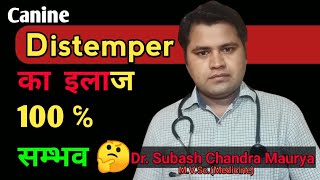 Canine distemper का treatment 100  सम्भव  Sign and Symptoms of Canine Distemper Doctor Pets [upl. by Aivirt995]