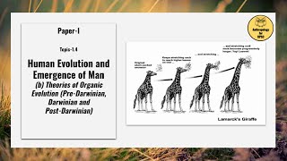 PaperI Topic14bTheories of Organic Evolution PreDarwinian Darwinian amp PostDarwinianPart II [upl. by Evaleen]