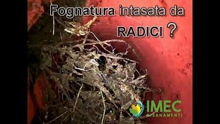 FOGNATURA INTASATA RADICI [upl. by September]