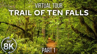 Virtual Hike 360° VR  Forest Walk along the Trail of Ten Falls  8K Virtual Relaxation  Part 1 [upl. by Rheims]