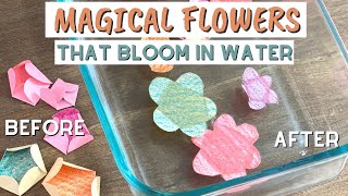 Magic Blooming Paper Flowers  Fun STEM Activity For Kids [upl. by Myrlene]